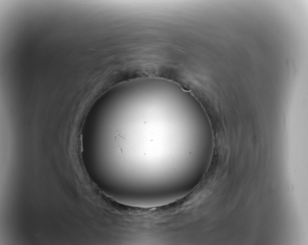 X0000088721057200706071615