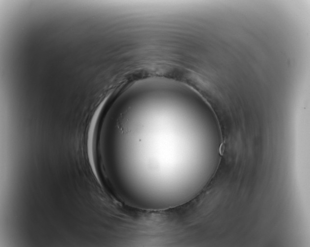 X0000088721058200706071615