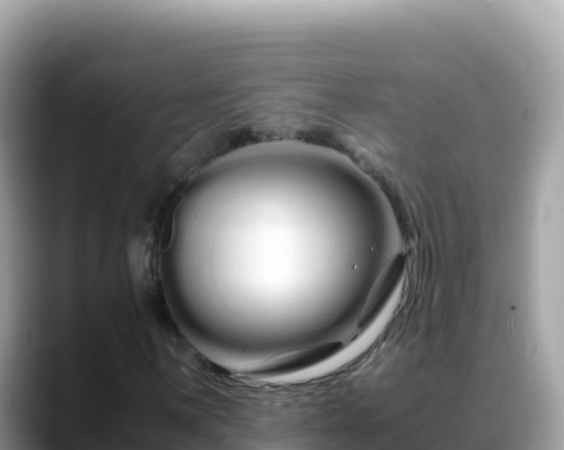 X0000088721059200706071615