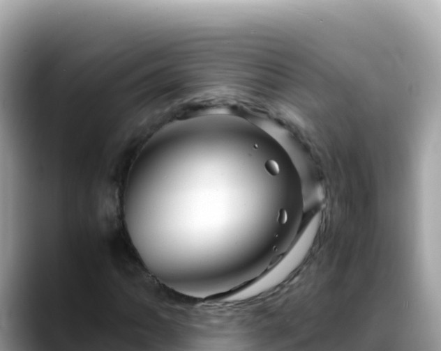X0000088721062200706071615