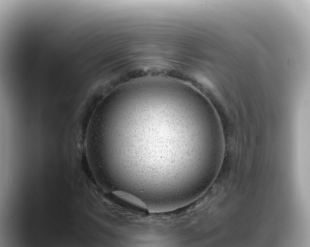 X0000088721063200706071615