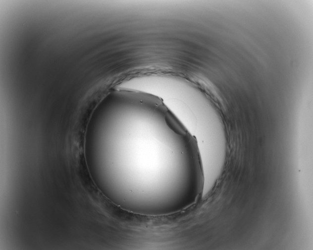 X0000088721064200706071615