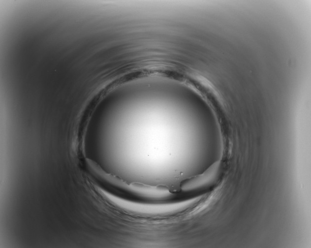 X0000088721065200706071615