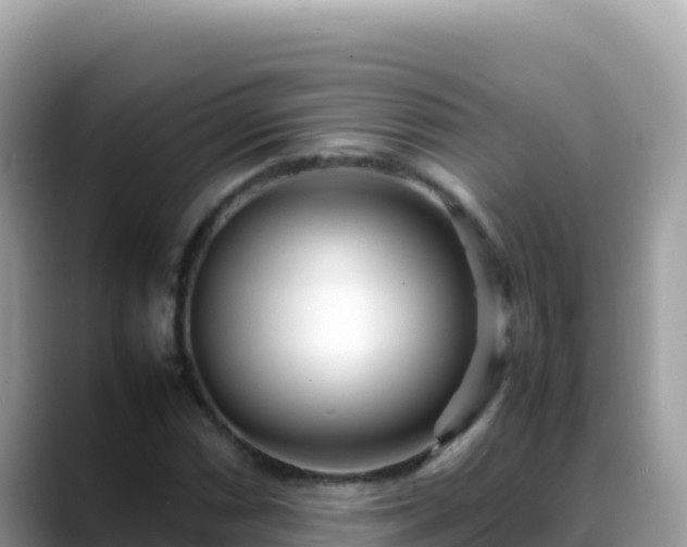 X0000088721066200706071615
