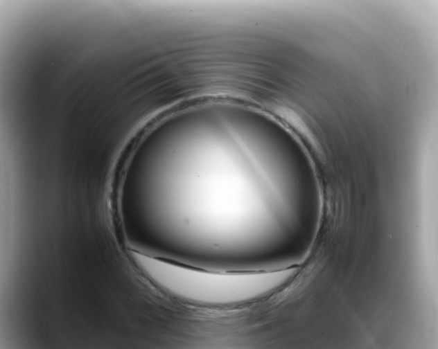 X0000088721068200706071615
