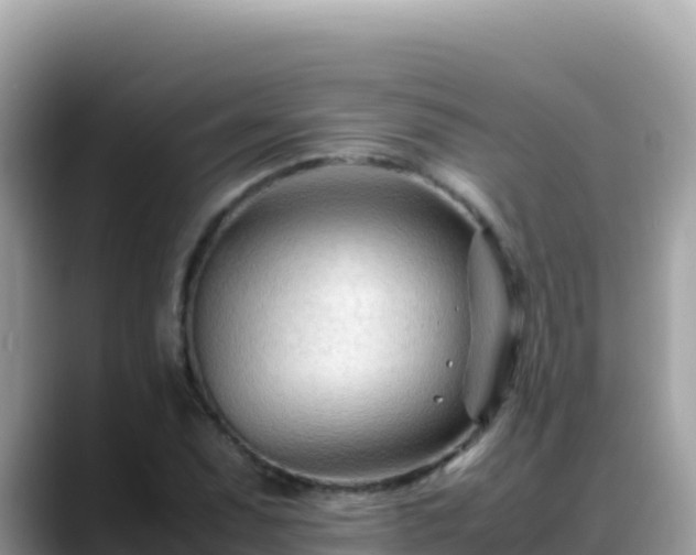 X0000088721071200706071615