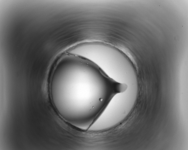 X0000088721072200706071615