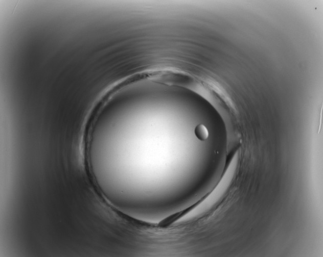 X0000088721076200706071615
