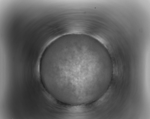 X0000088721078200706071615