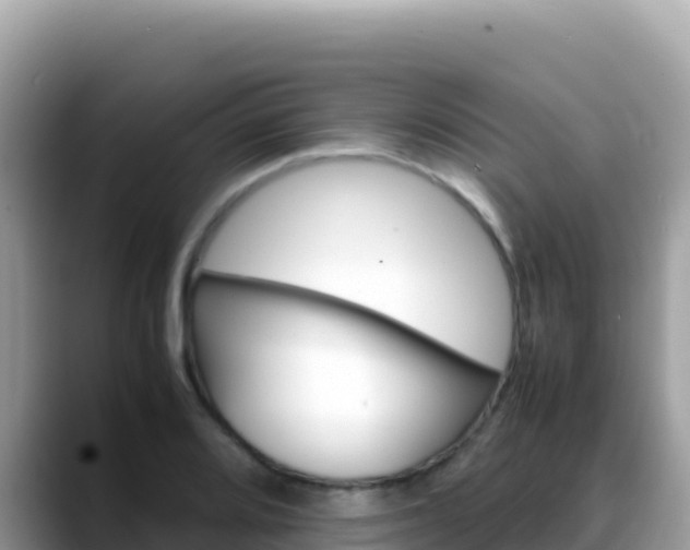 X0000088721080200706071615
