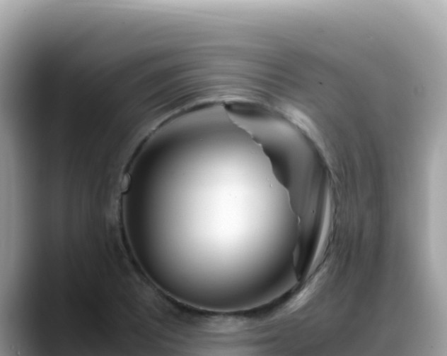 X0000088721081200706071615