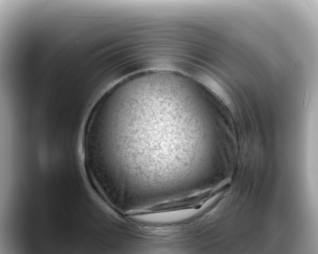 X0000088721084200706071615