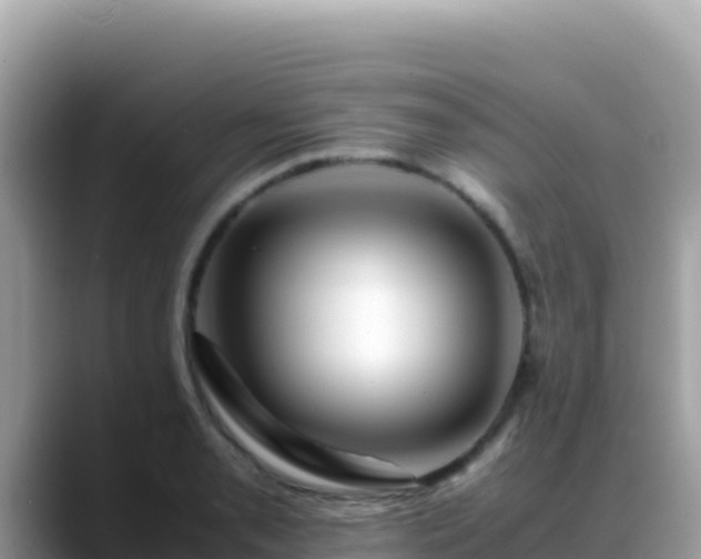 X0000088721085200706071615