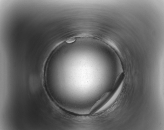 X0000088721087200706071615