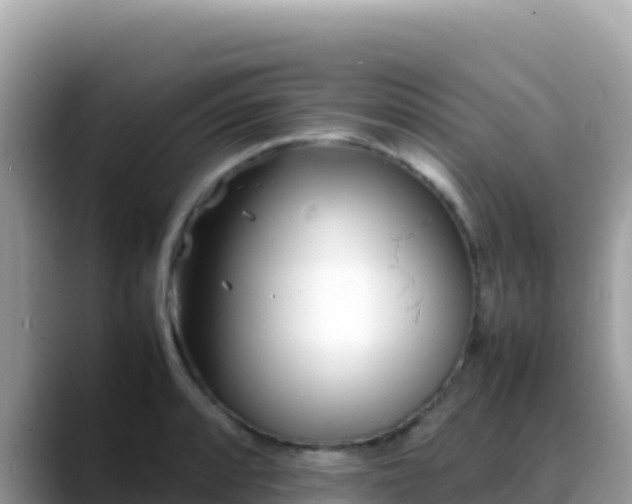 X0000088721088200706071615