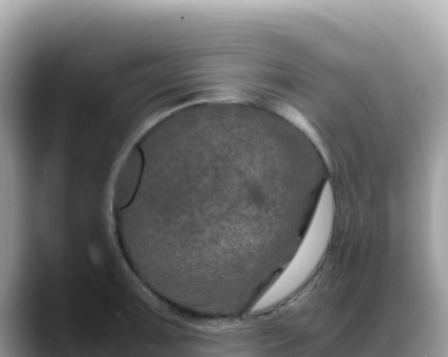 X0000088721091200706071615