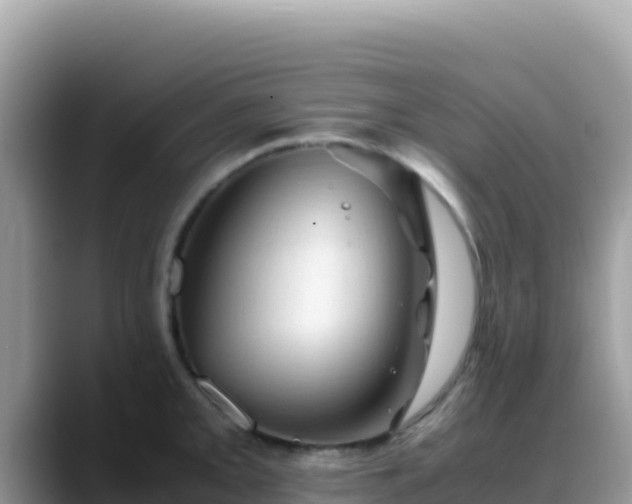 X0000088721093200706071615