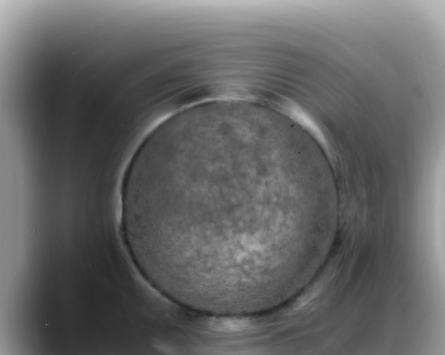 X0000088721095200706071615