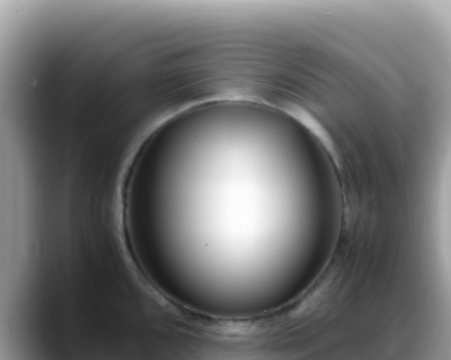 X0000088721096200706071615