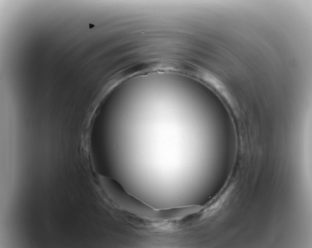 X0000088721097200706071615