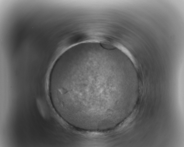 X0000088721099200706071615