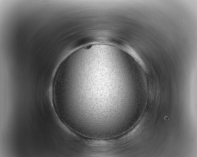 X0000088721100200706071615
