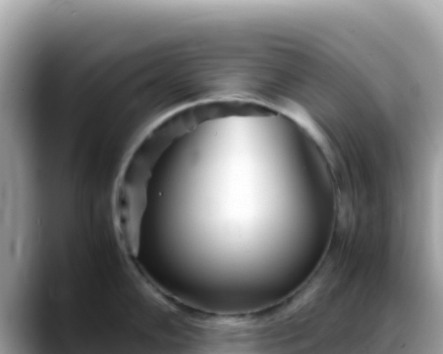 X0000088721102200706071615