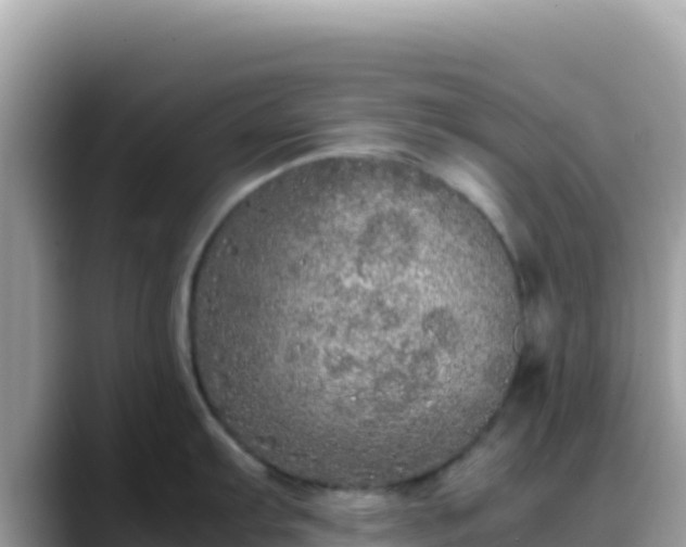 X0000088721103200706071615