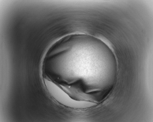 X0000088721104200706071615
