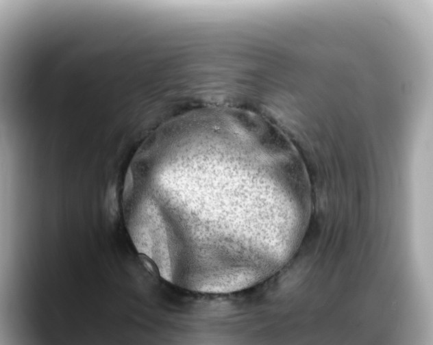 X0000088721106200706071614