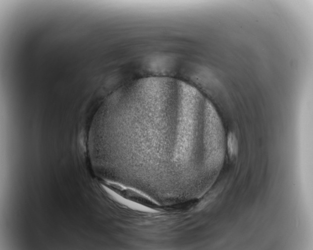 X0000088721107200706071614