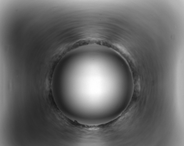 X0000088721110200706071614