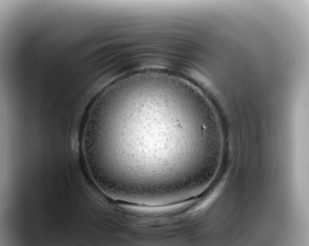 X0000088721113200706071614