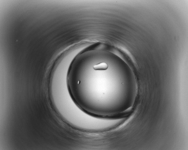 X0000088721114200706071614