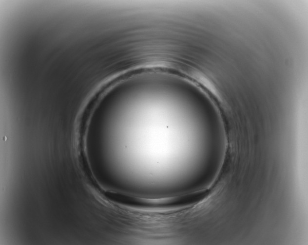 X0000088721116200706071614