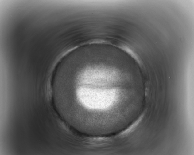 X0000088721117200706071614