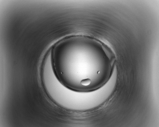 X0000088721120200706071614