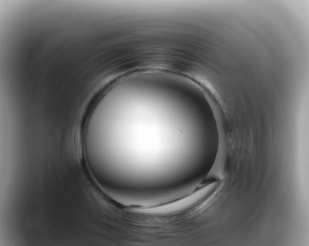 X0000088721123200706071614