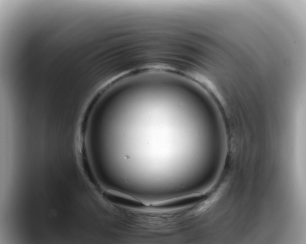 X0000088721125200706071614