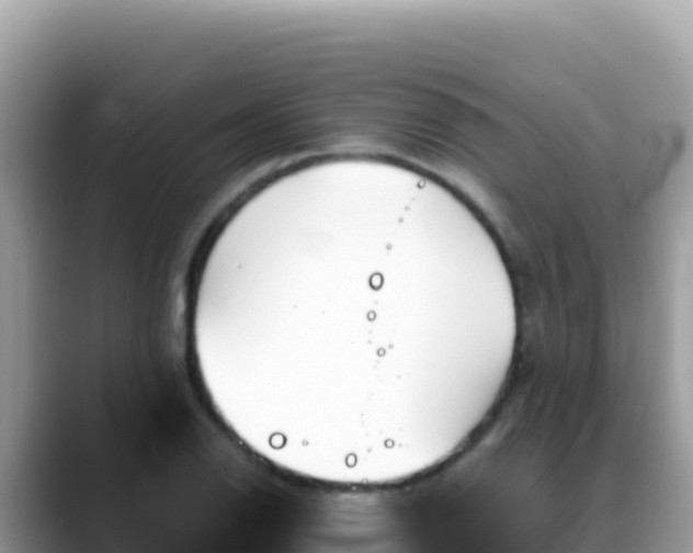 X0000088721126200706071614