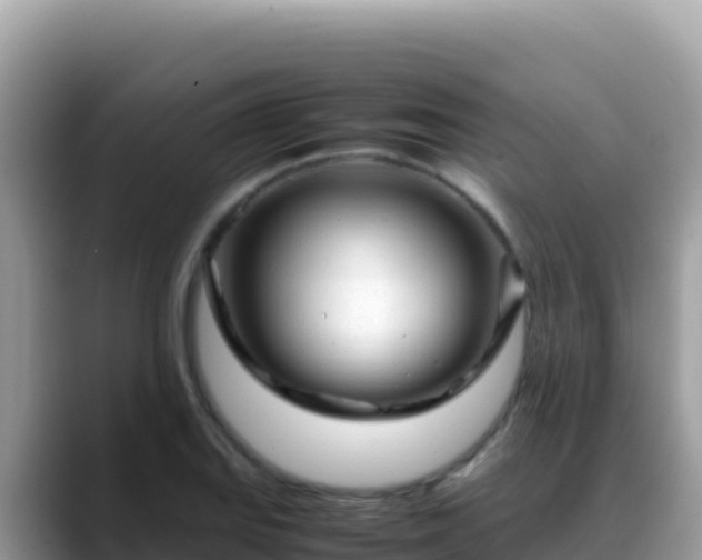 X0000088721127200706071614