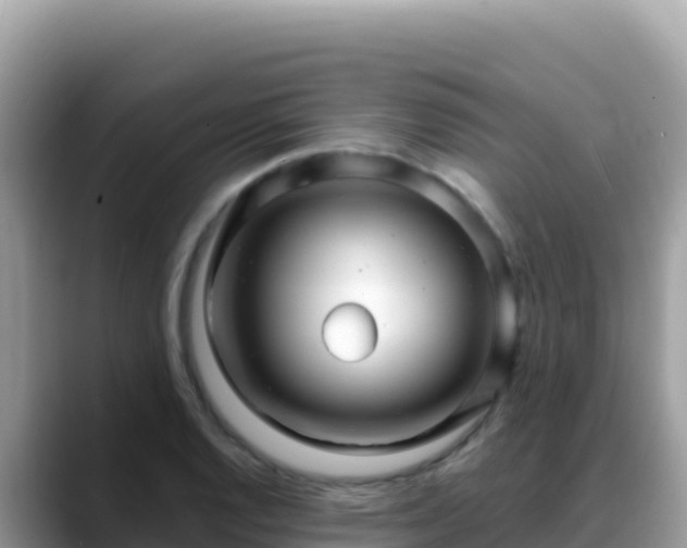 X0000088721128200706071614