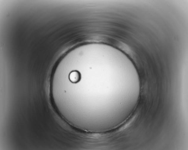 X0000088721130200706071614