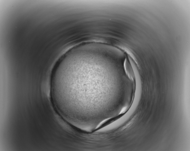 X0000088721131200706071614