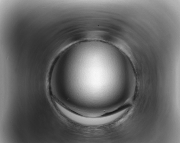 X0000088721133200706071614