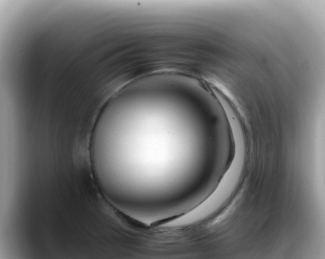 X0000088721137200706071614