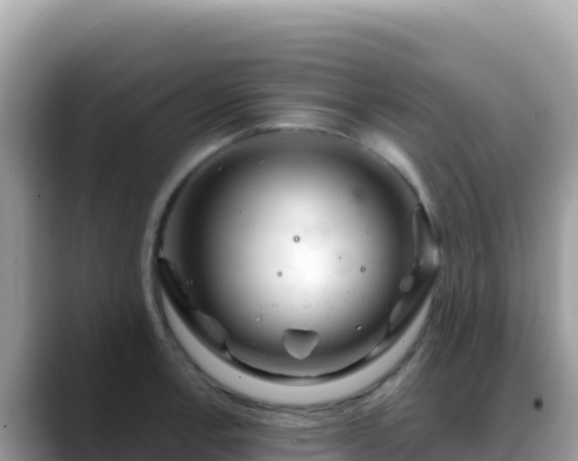 X0000088721138200706071614