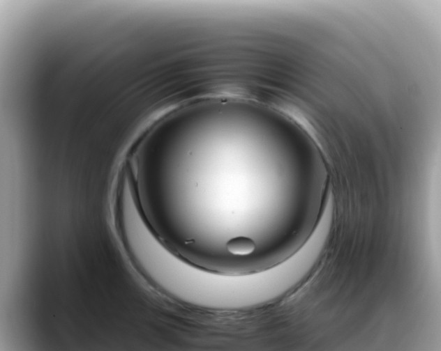 X0000088721139200706071614