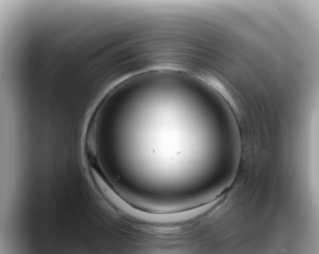 X0000088721140200706071614