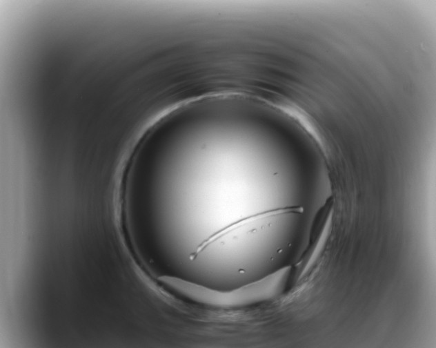X0000088721143200706071614